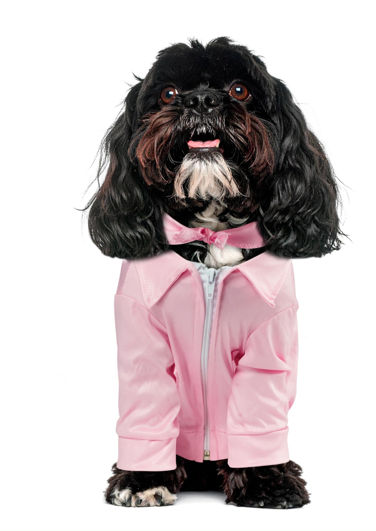 Rubies Grease 40th Anniversary Pink Ladies Pet Jacket, X-Small