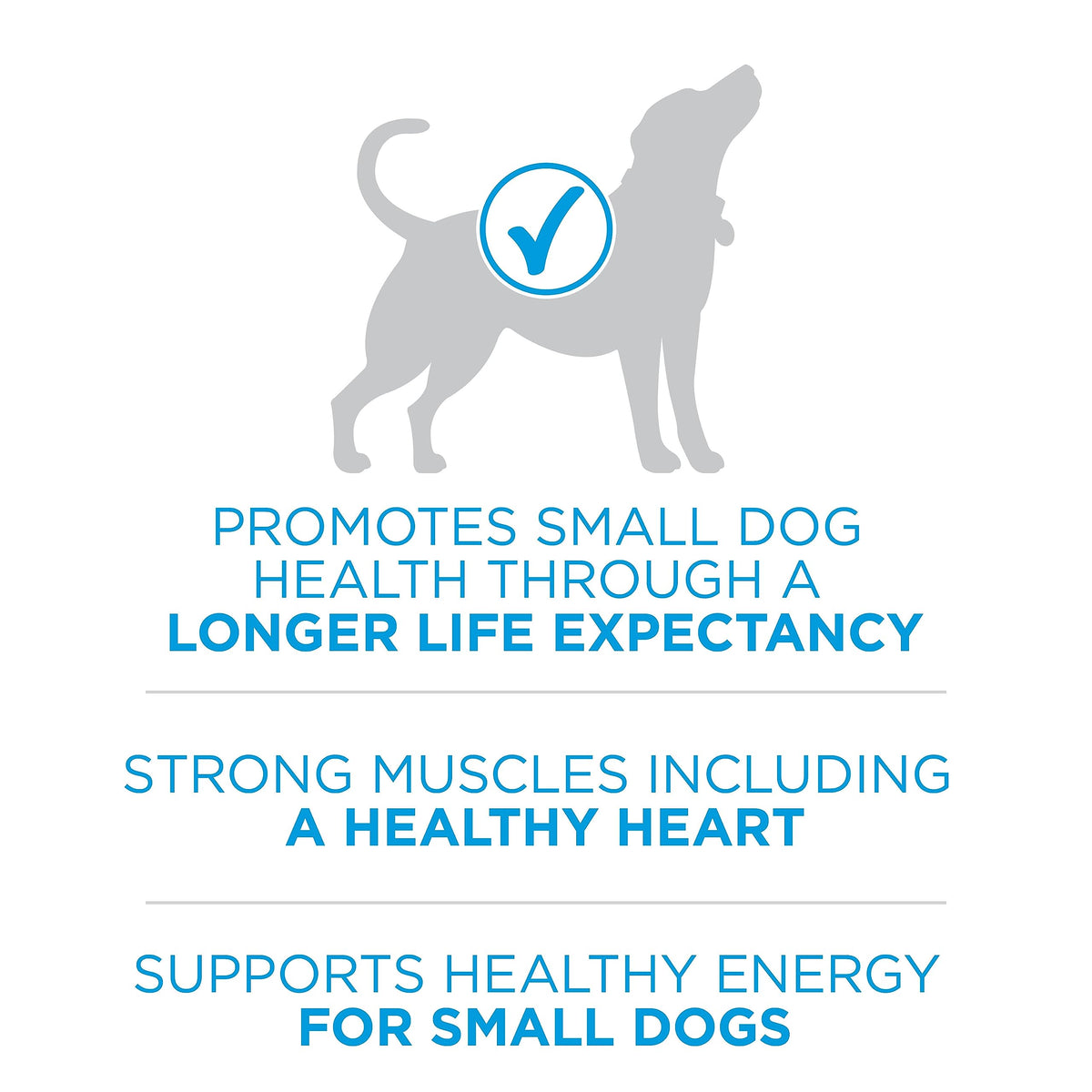 Purina ONE +Plus Small Breed Dry Dog Food, Beef, 3.63 kg