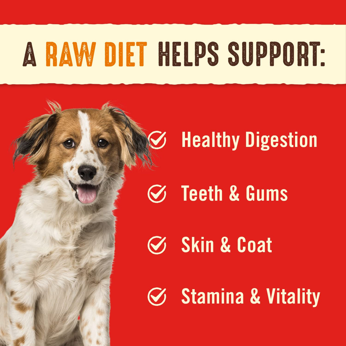 Stella & Chewy's Freeze-Dried Raw Dinner Patties, Super Beef, 708 g
