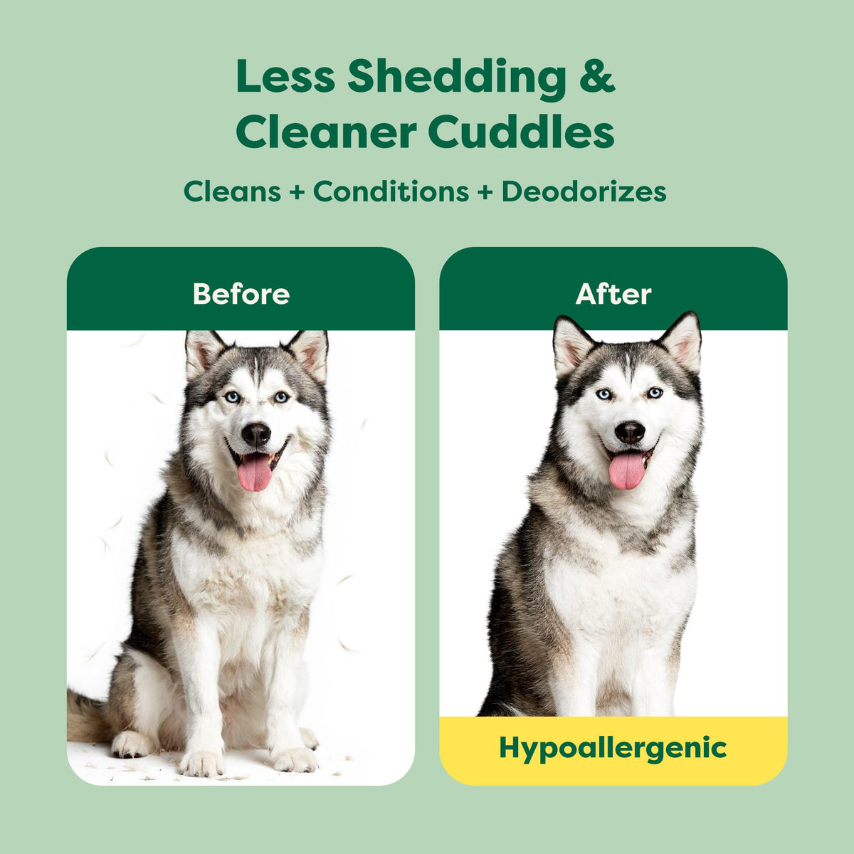 Earth Rated 3-in-1 Deshedding Dog Shampoo, White Tea & Basil, 473 ml