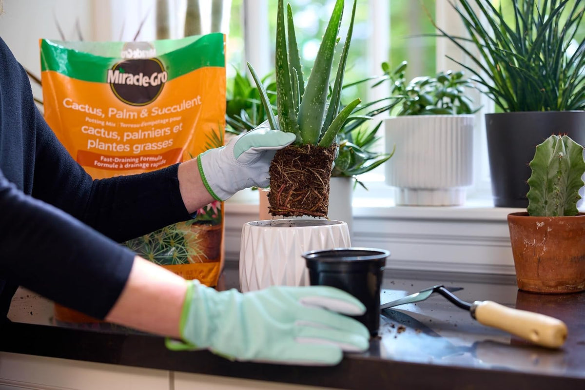 Miracle-Gro Cactus, Palm and Succulent Mix, 8.8 L, 2 Pack
