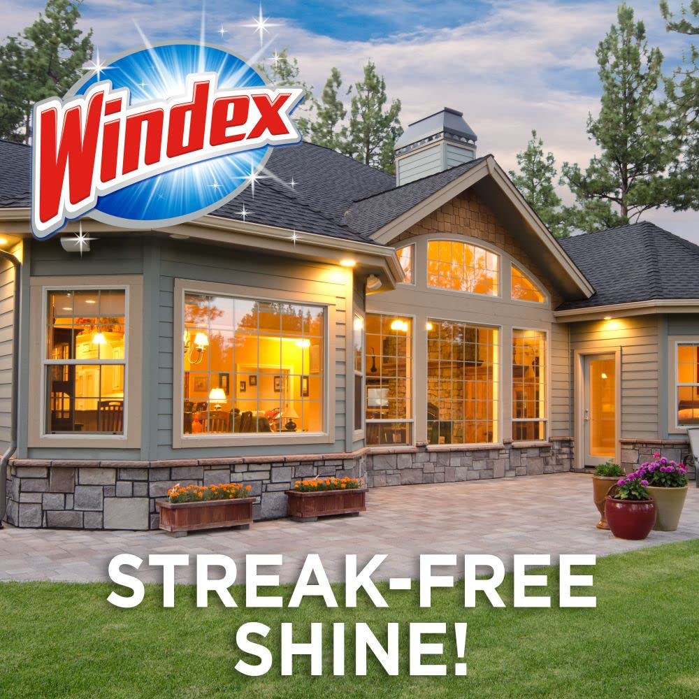Windex Outdoor Window, Glass and Patio Cleaner Refill, 3.8 mL