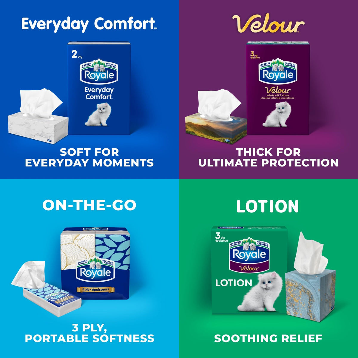 Royale Everyday Comfort 2-Ply Facial Tissue, 24 Boxes
