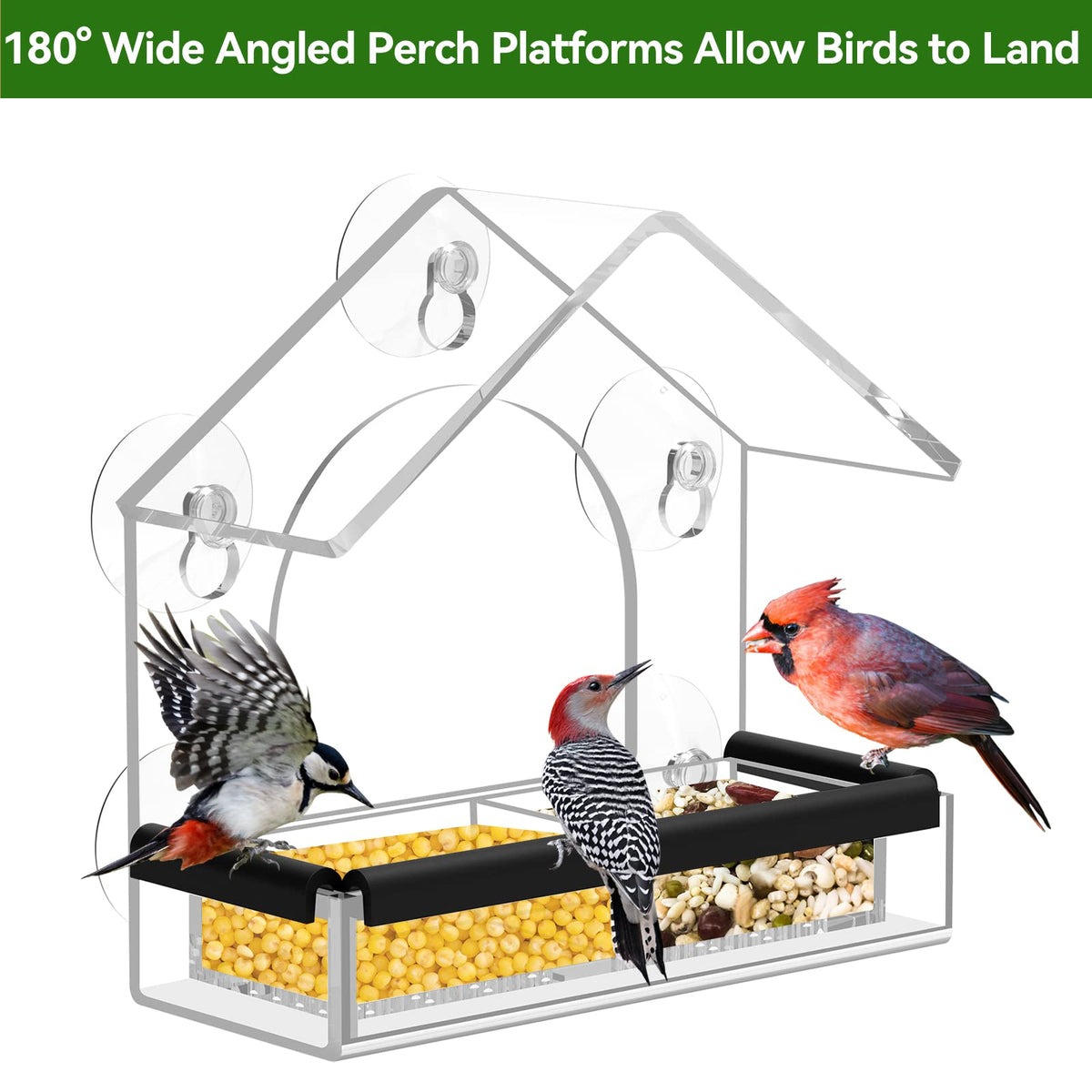DY-SKTY Clear Window Bird Feeder with 5 Suction Cups
