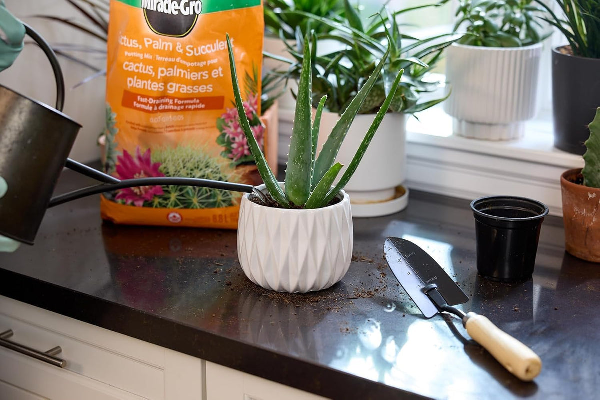 Miracle-Gro Cactus, Palm and Succulent Mix, 8.8 L, 2 Pack