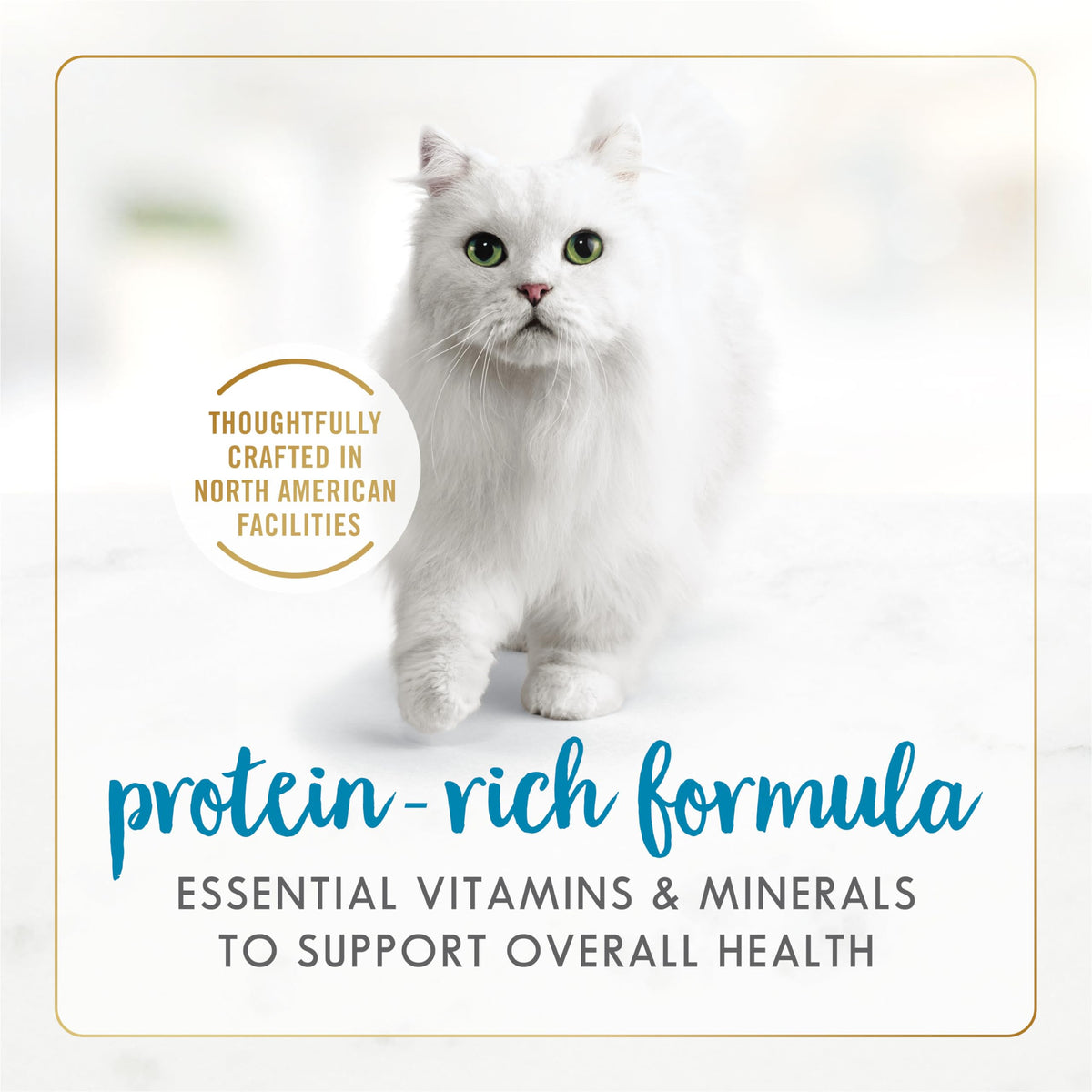 Fancy Feast Grilled Wet Cat Food, Whitefish & Tuna, 85 g, 24 Pack