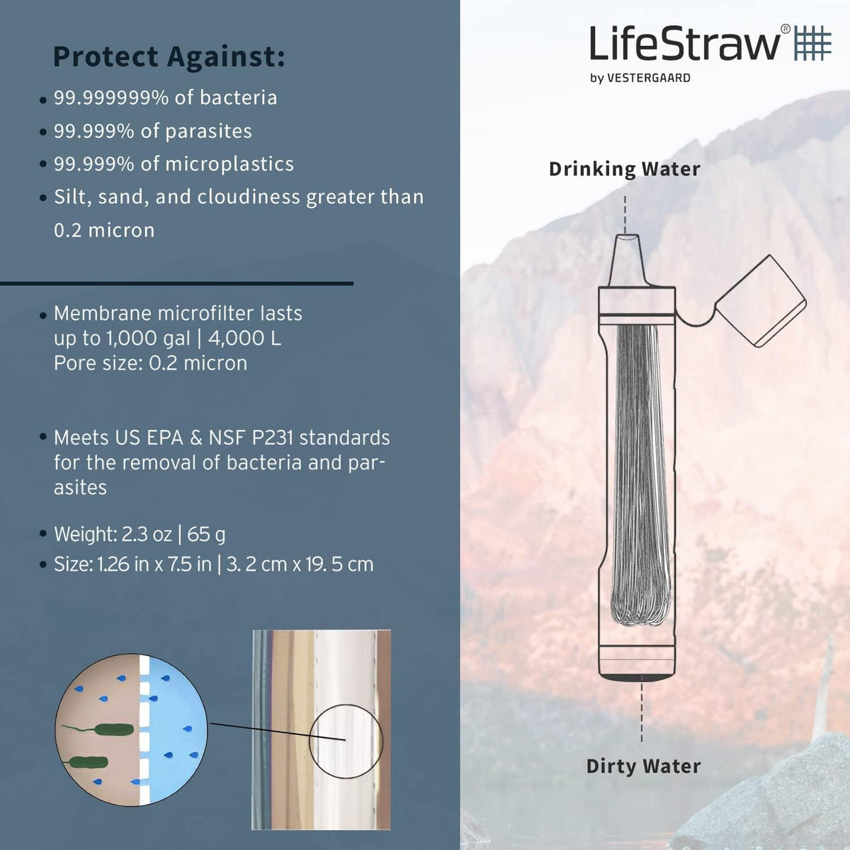 LifeStraw Peak Series Personal Water Filter Straw, Mountain Blue