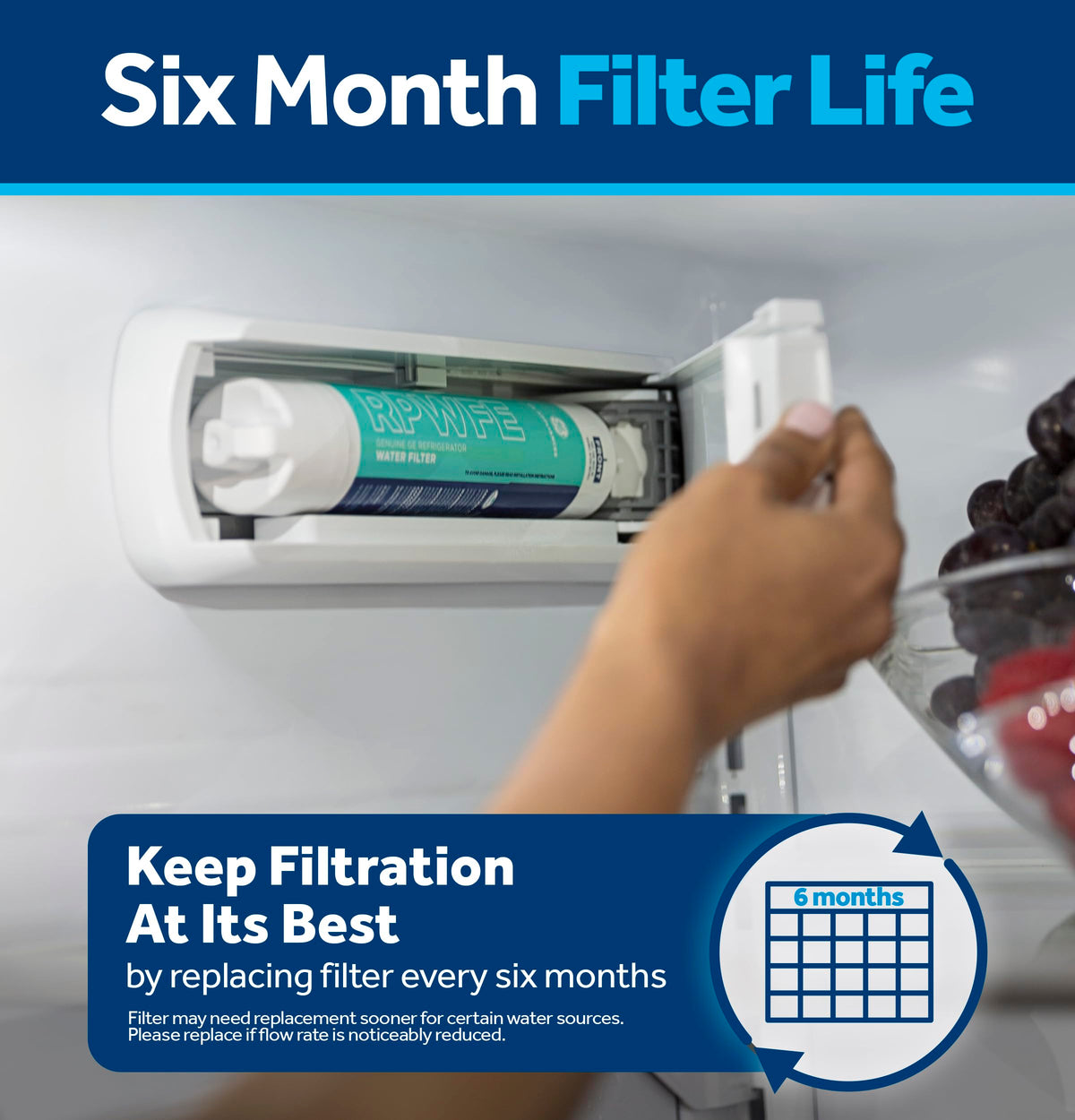 GE RPWFE Refrigerator Water Filter, WG03F04947