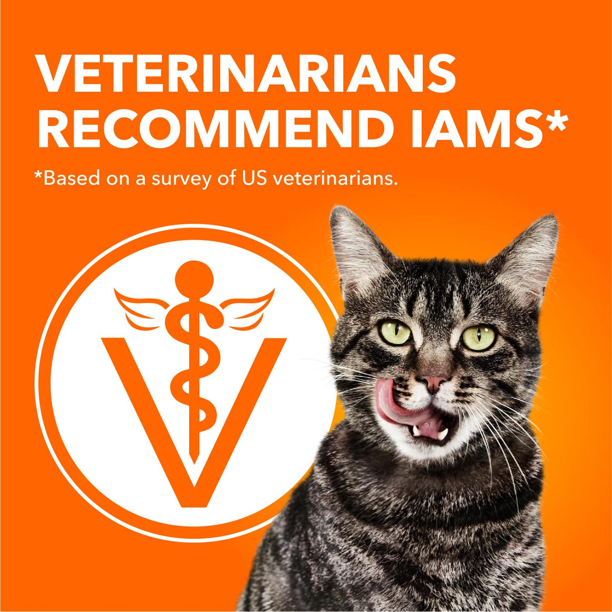 IAMS Proactive Health Adult Dry Cat Food, Salmon, 3.18kg