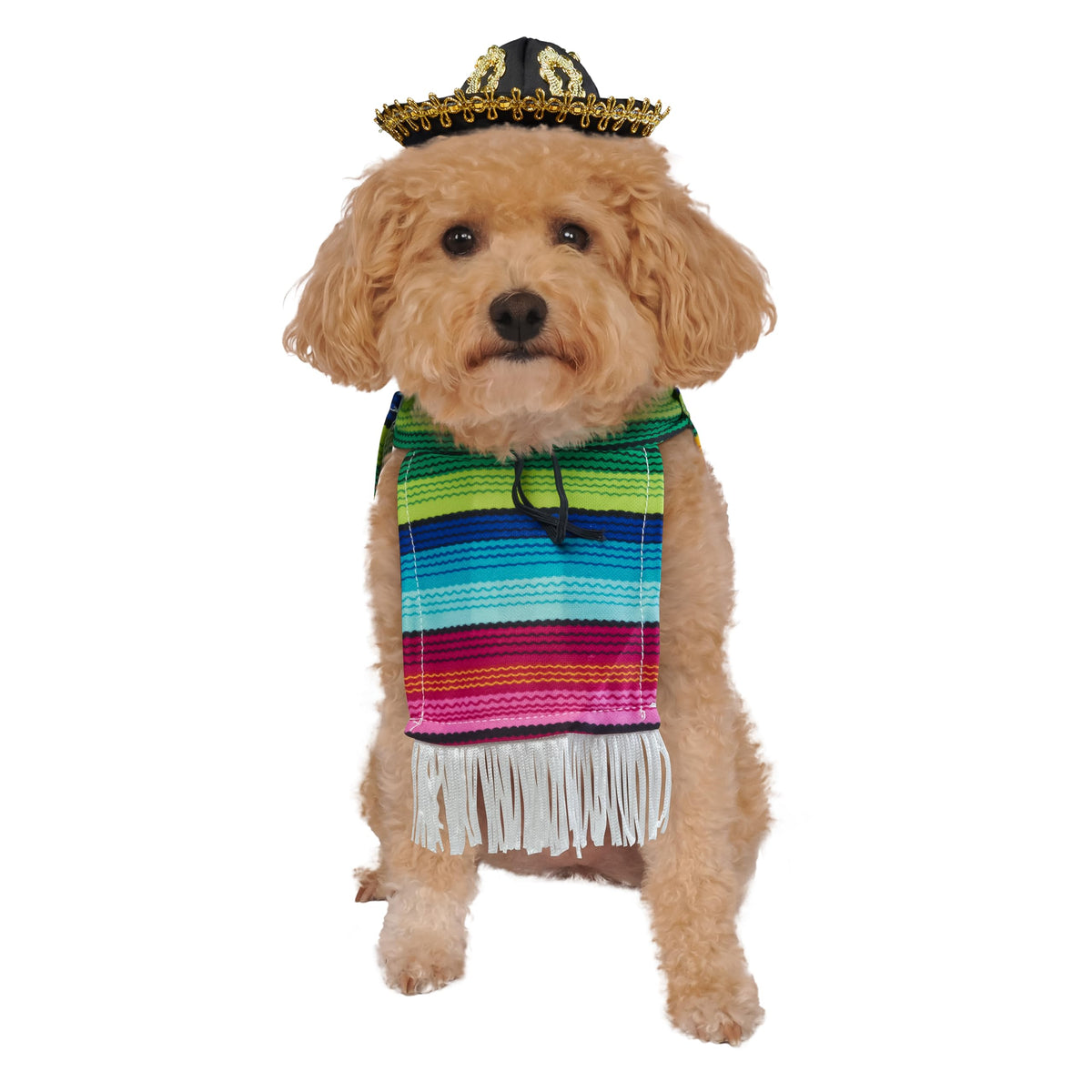 Rubies Costume Co Halloween Classics Pet, Mexican Serape, Medium