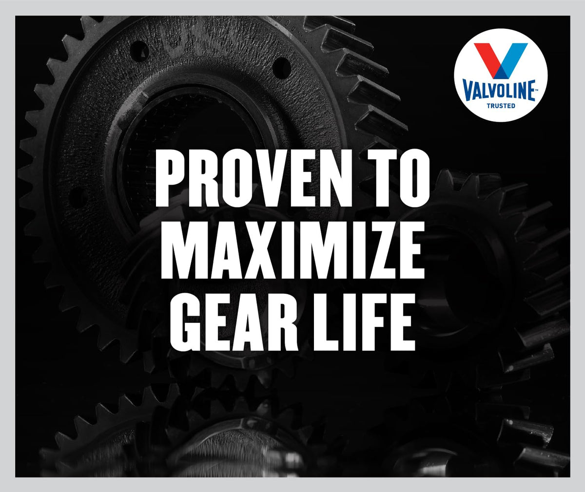 Valvoline Daily Protection 80W-90 Gear Oil 1 QT