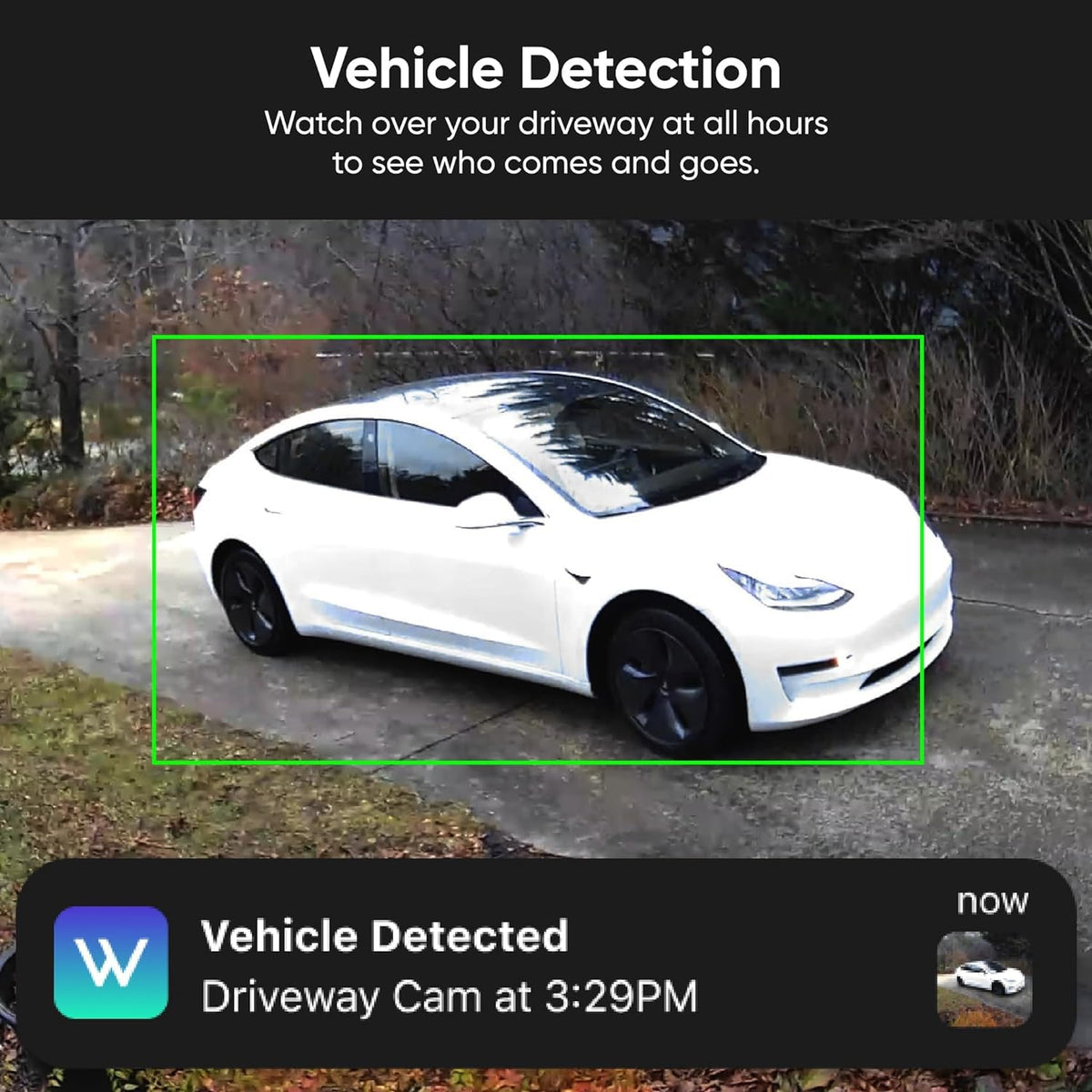 Wyze Cam v3 Limited Edition, Black, 1 Pack