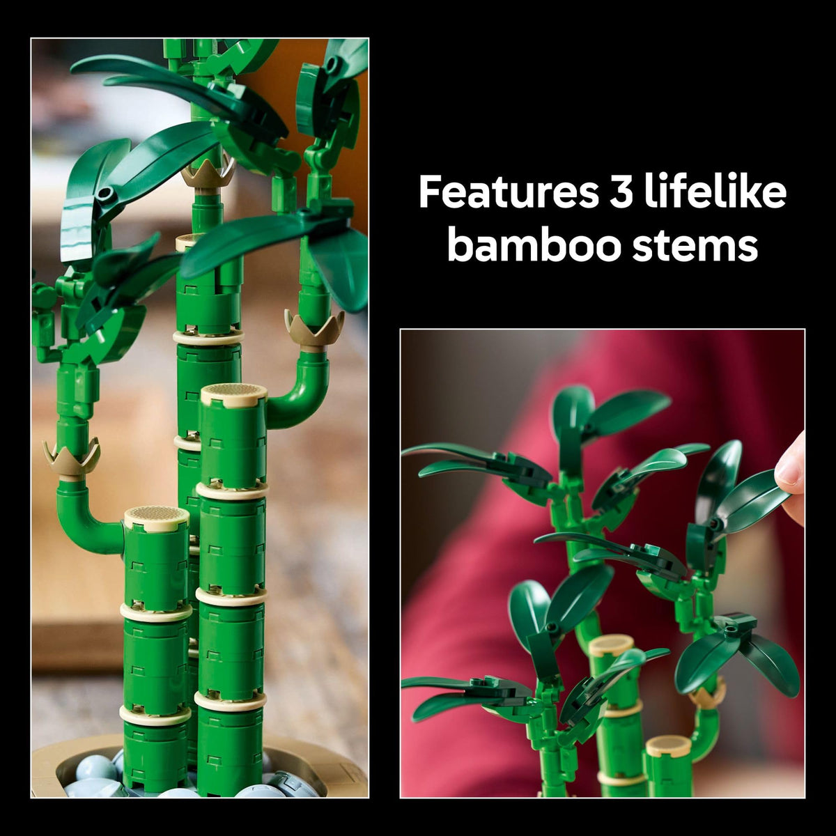 LEGO Botanicals Lucky Bamboo Building Set, 10344