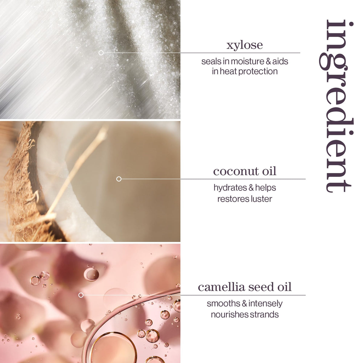 Pureology Color Fanatic Leave-In Conditioner