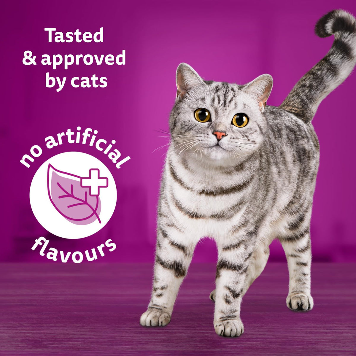 WHISKAS Salmon & Poultry Selections Pate Wet Cat Food, 24 x 100 g