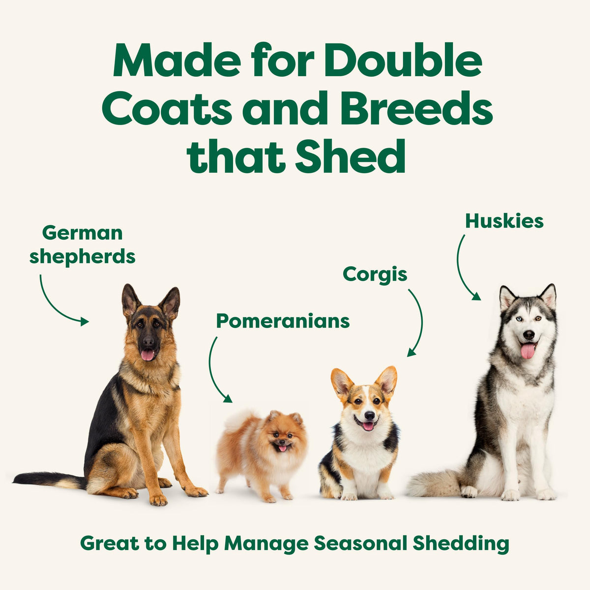 Earth Rated 3-in-1 Deshedding Dog Shampoo, White Tea & Basil, 473 ml