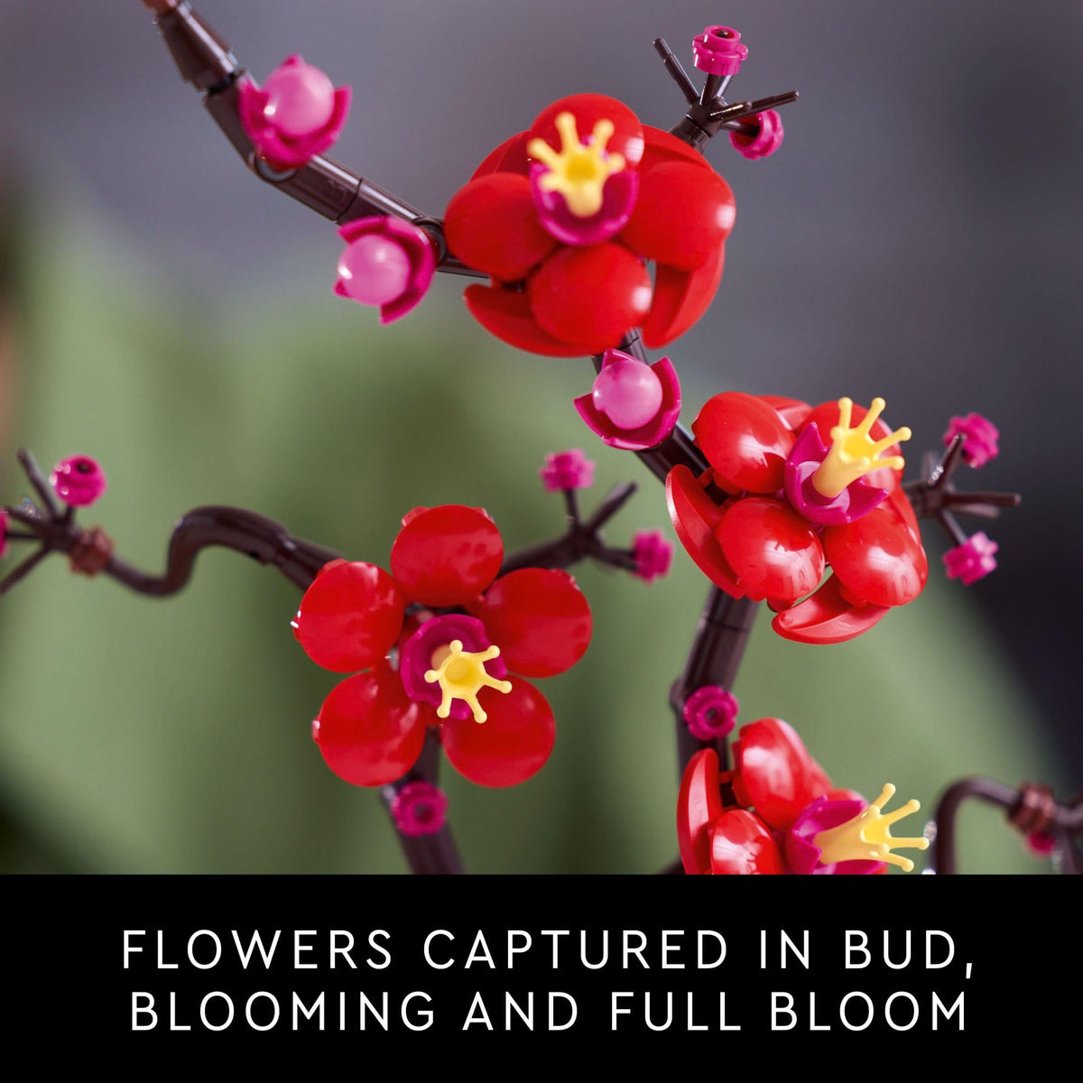 LEGO Icons Plum Blossom Building Set, 10369