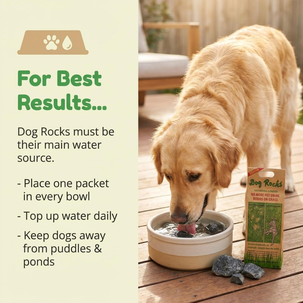 Dog Rocks Lawn Burn Patch Prevention, 2-Month Supply