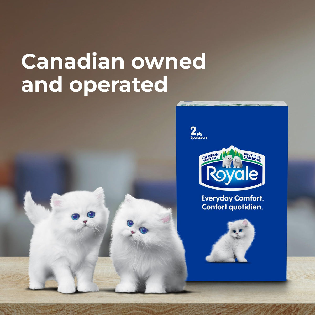 Royale Everyday Comfort 2-Ply Facial Tissue, 24 Boxes