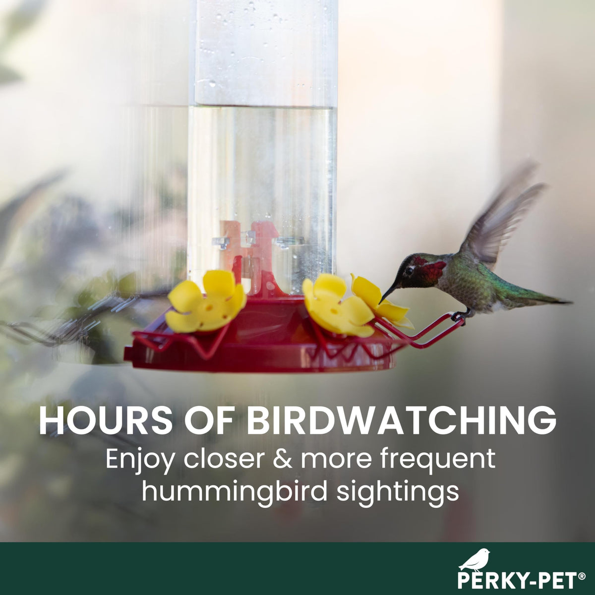 Perky-Pet Window Mount Hummingbird Feeder, 8 oz, 217