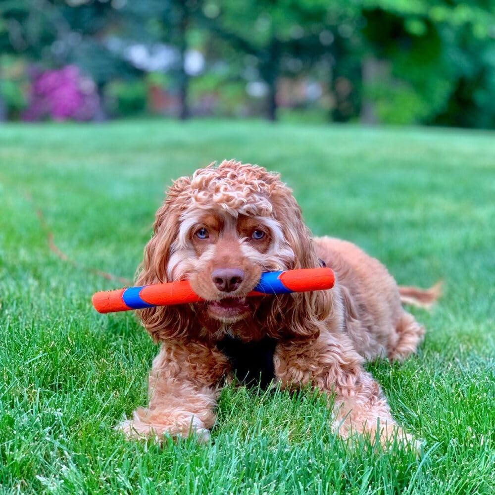 Chuckit! Ultra Fetch Stick Dog Toy, 12 in