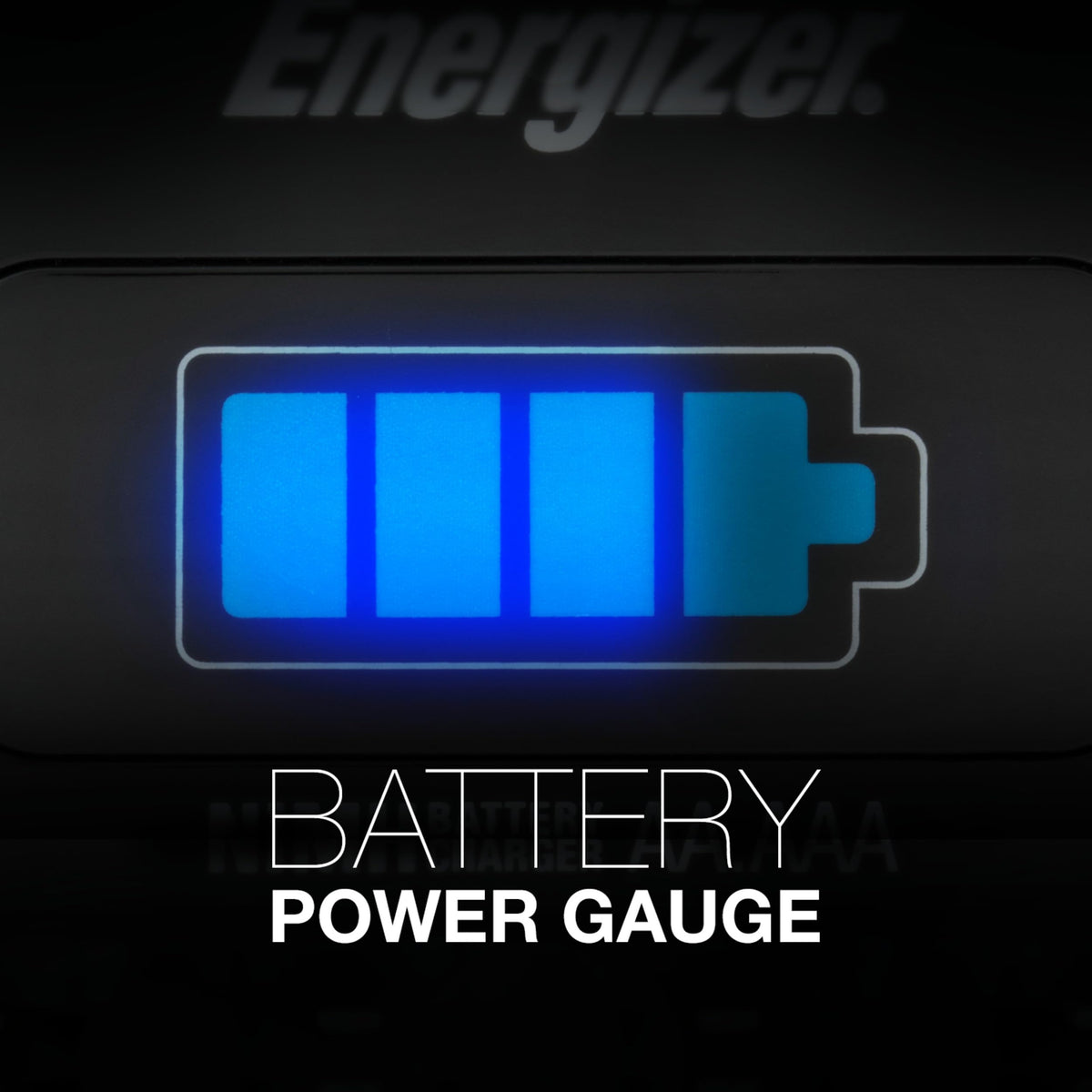 Energizer Rechargeable Battery Charger for AA, AAA, C, D and 9V
