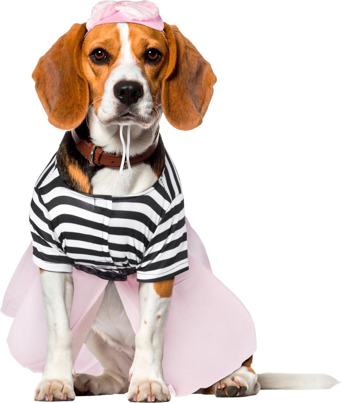 Rubies Halloween Classics Pet Costume, Large, 50s Girl Dress