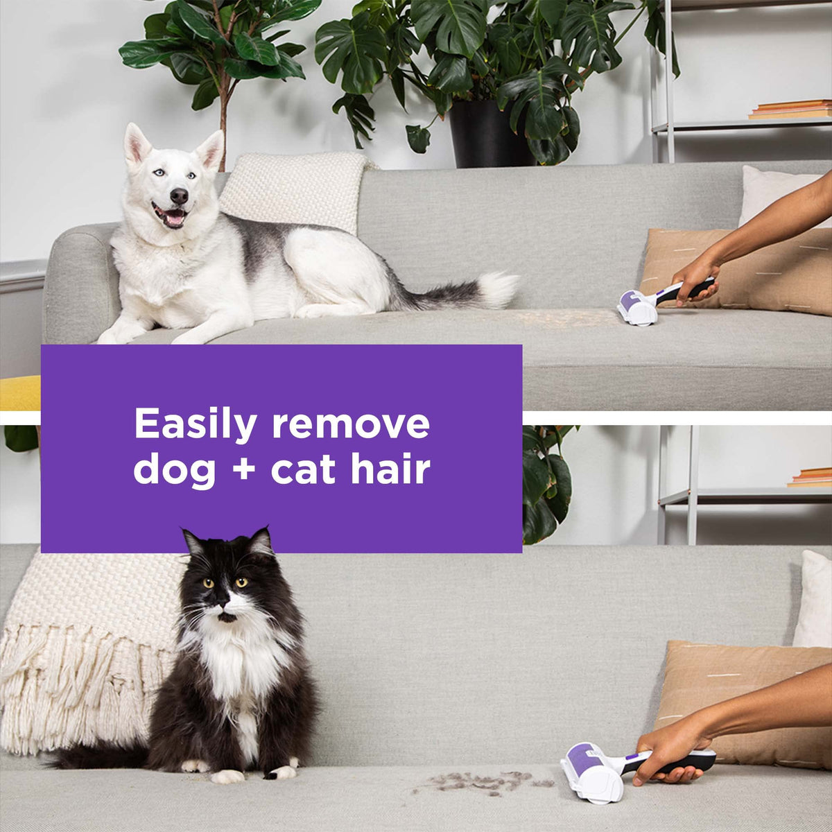 Black+Decker Pet Hair Remover Roller, HMSCT0001