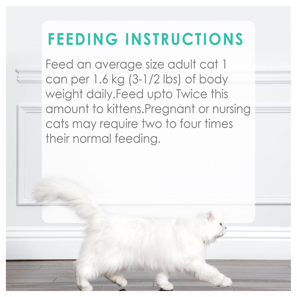 Fancy Feast Wet Cat Food, Pate Salmon & Shrimp Feast, 85 g, 24 Pack