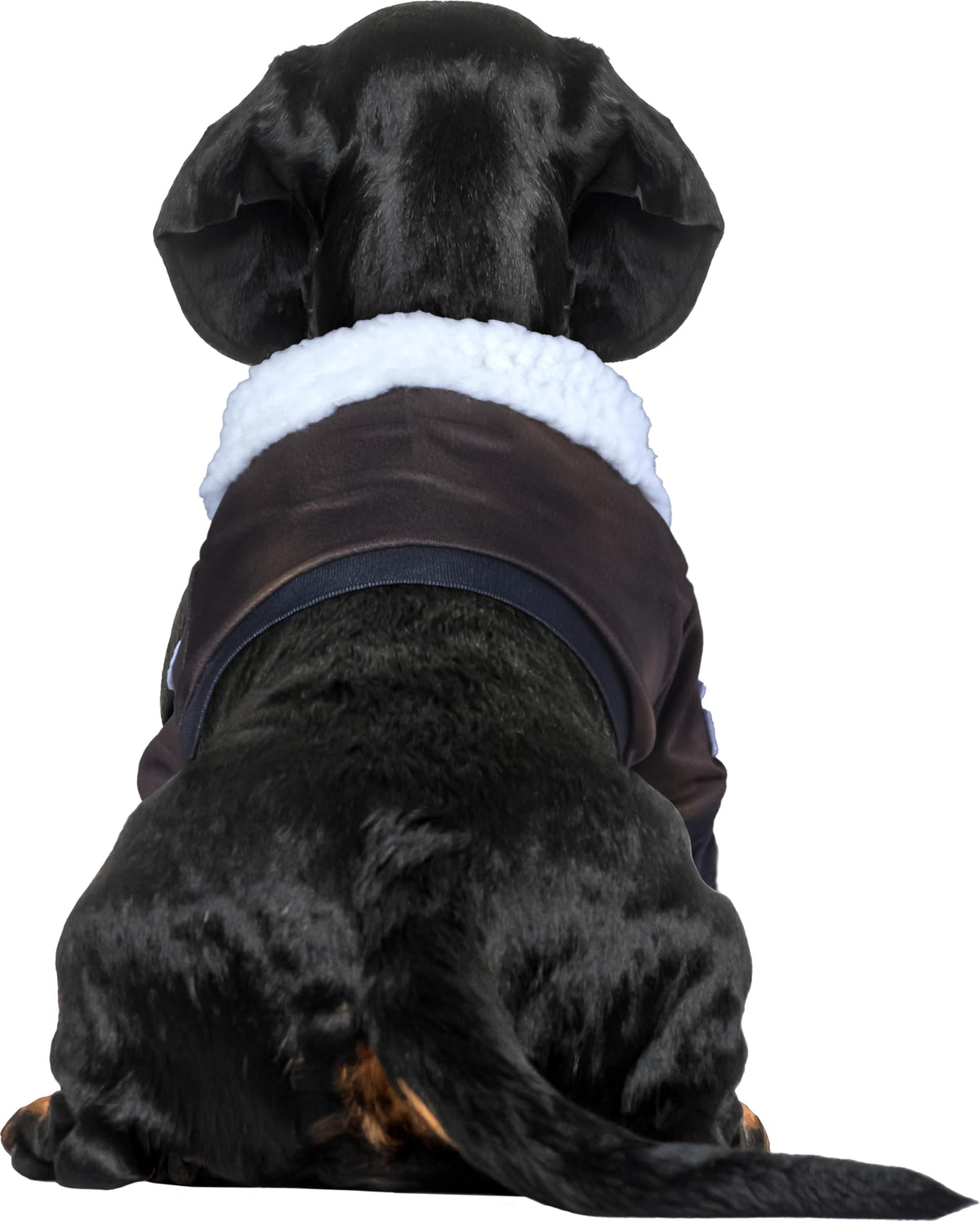 Rubies Top Gun Classic Movie Pet Costume, X-Large
