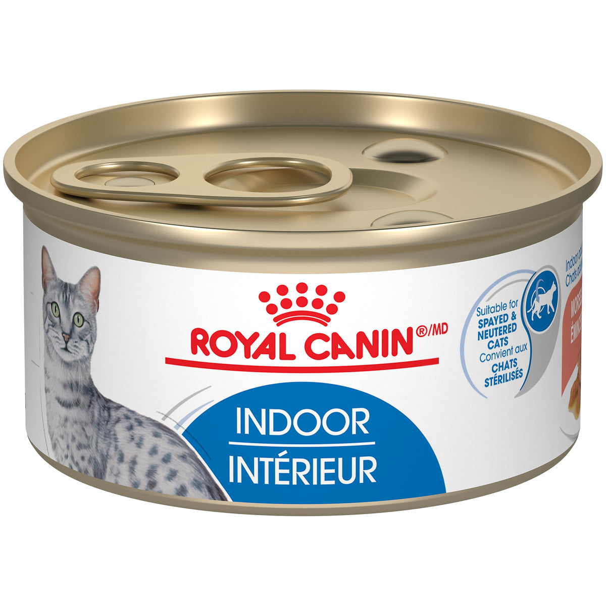 Royal Canin Indoor Morsels in Gravy Wet Cat Food, 24 x 85 g