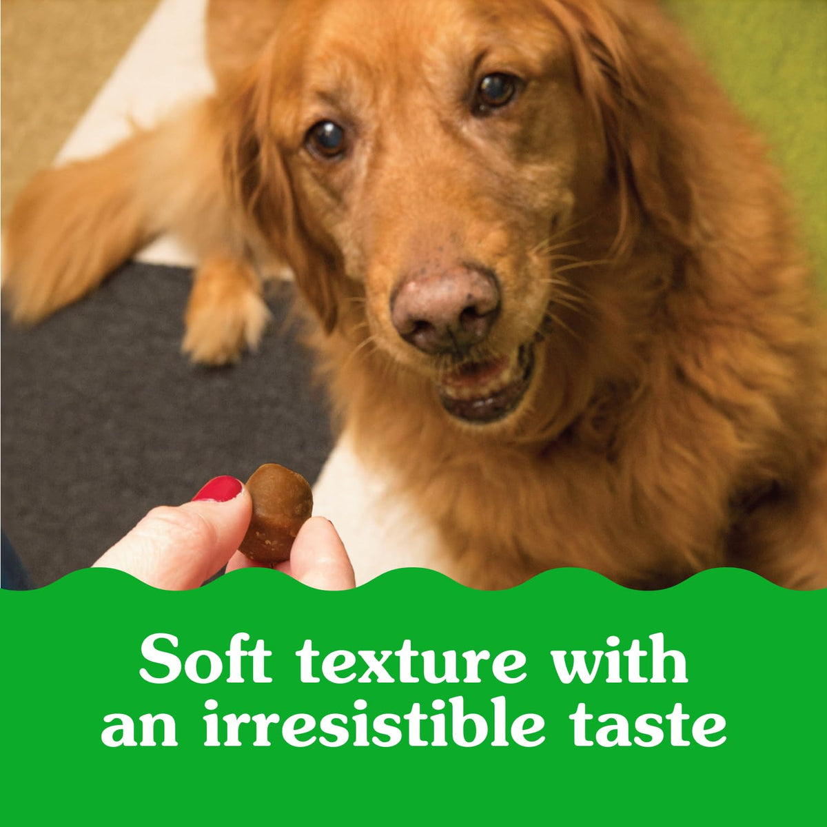 GREENIES Pill Pockets Dog Treats, Capsule Size, Chicken, 60 Count