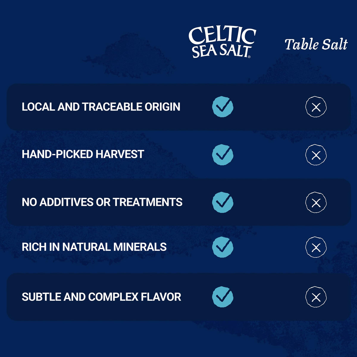 Celtic Sea Salt Fine Ground, 16 oz