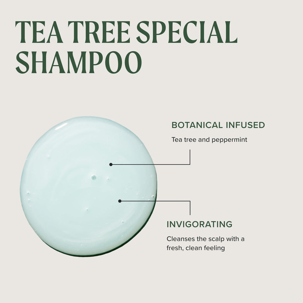 Tea Tree Special Shampoo for Oily Hair
