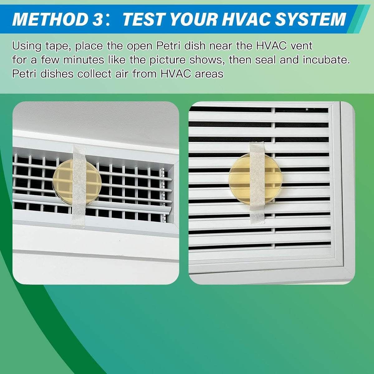Home Mold Test Kit, 12 Tests