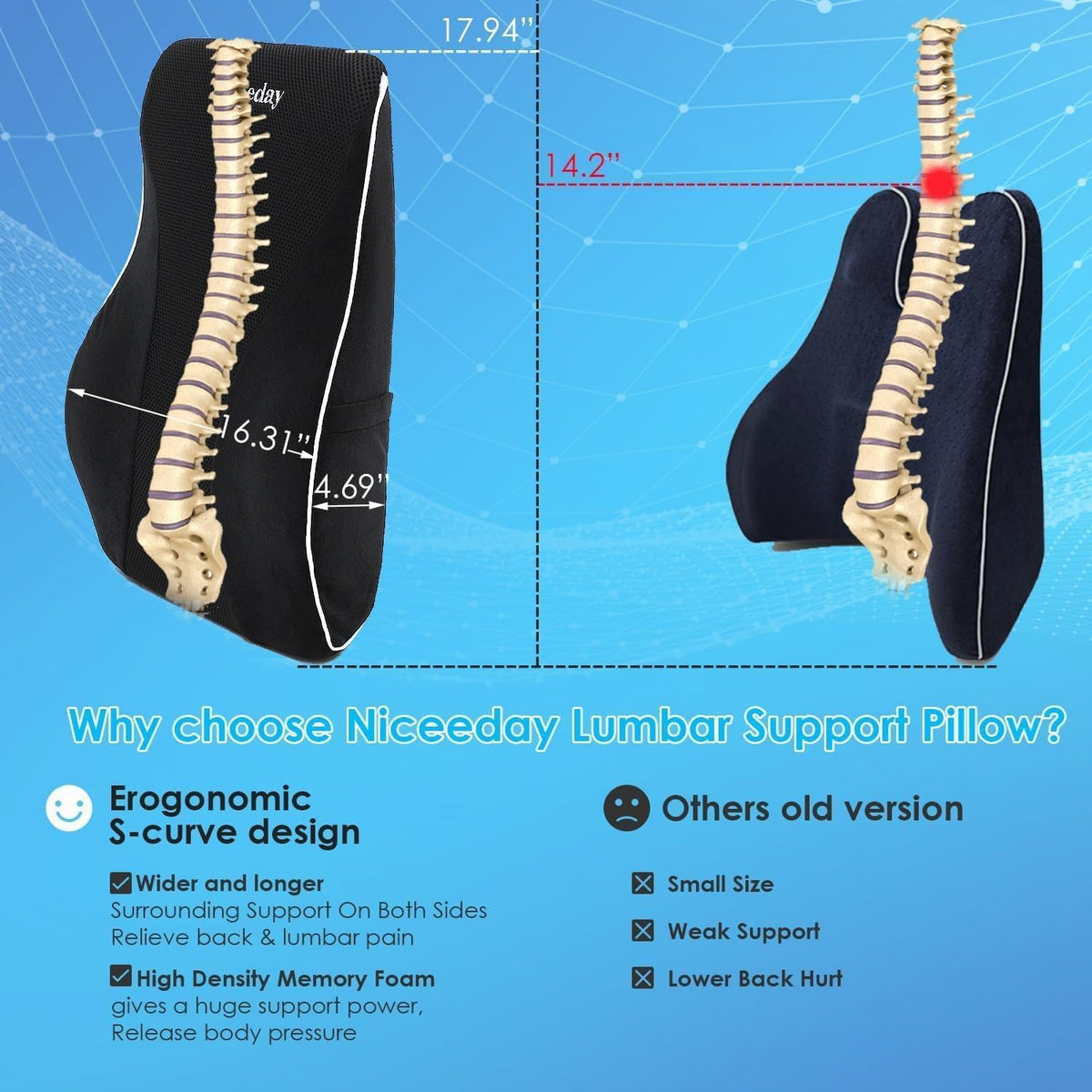 Memory Foam Lumbar Support Pillow with Mesh Cover