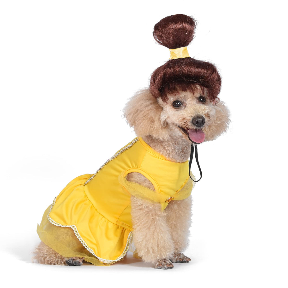 Disney: Halloween Disney Princess Belle Costume, Medium