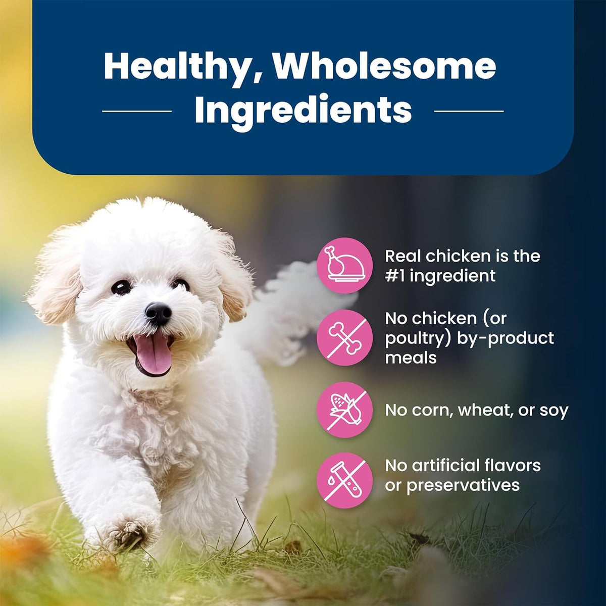 Blue Buffalo Life Protection Small Breed Dog Food, Chicken, 6 lb