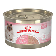 Royal Canin Feline Mother & Babycat Mousse in Sauce, 5.1 oz, 24-Count