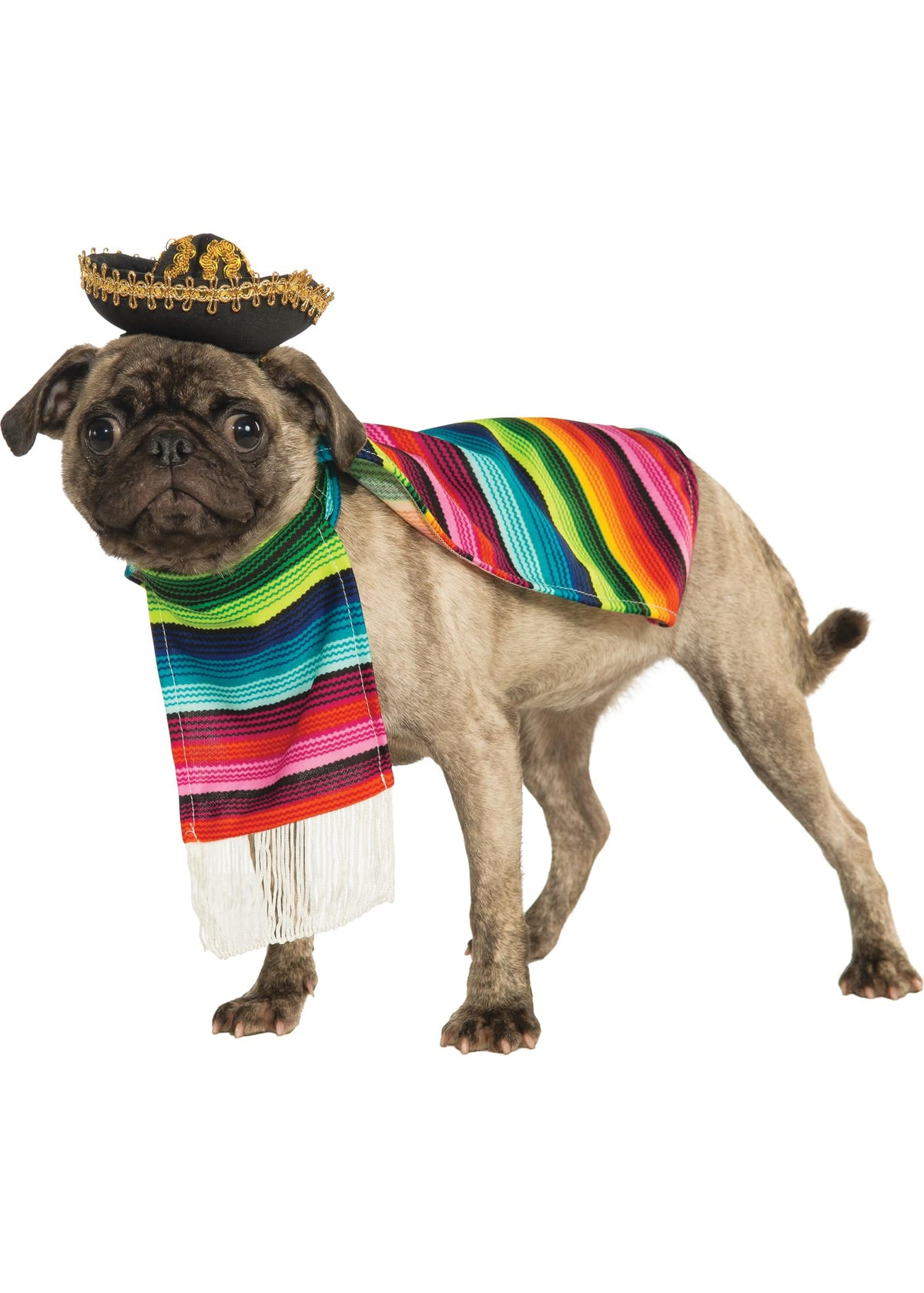 Rubies Costume Co Halloween Classics Pet, Mexican Serape, Medium