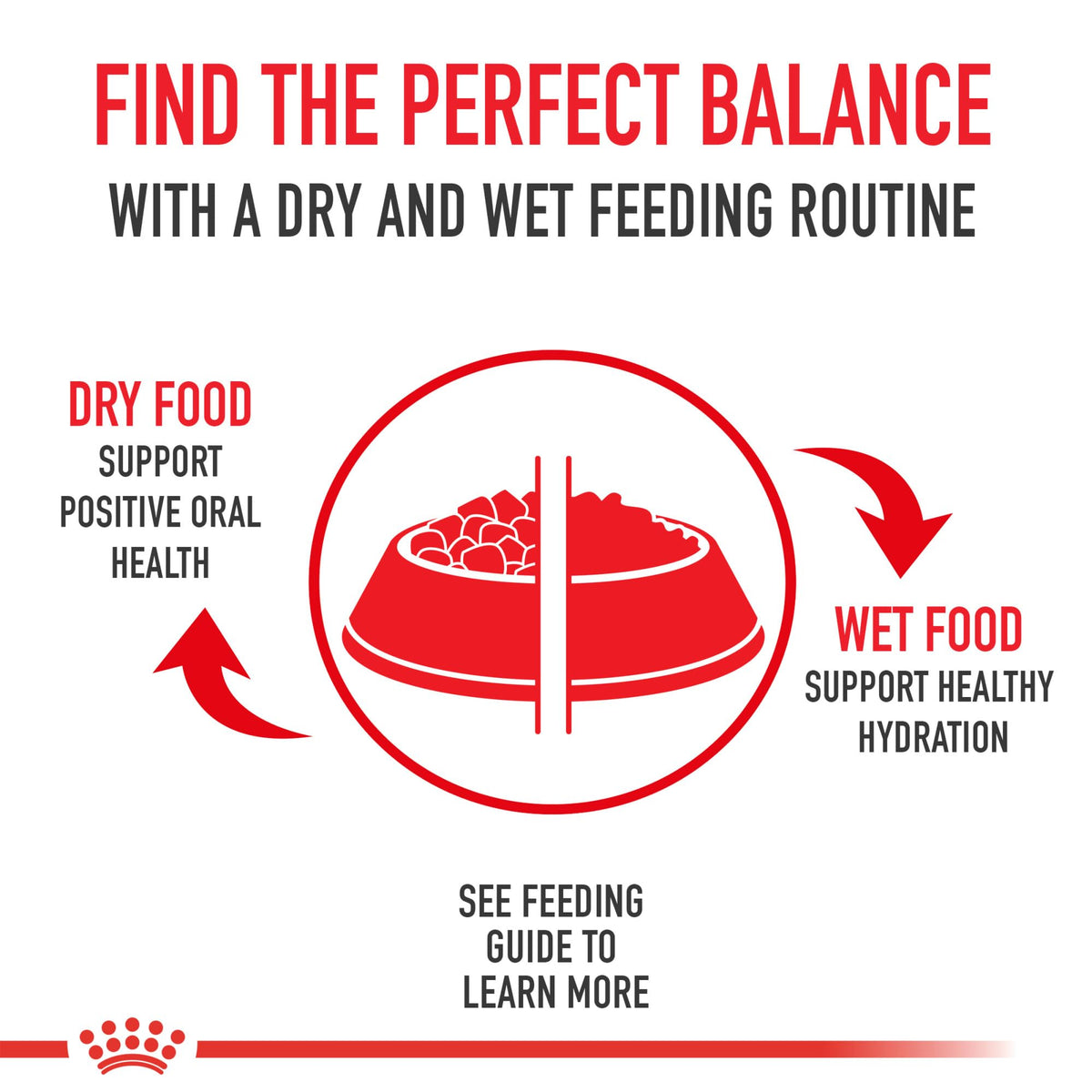 Royal Canin Feline Health Nutrition Indoor Adult Dry Cat Food, 7 lb