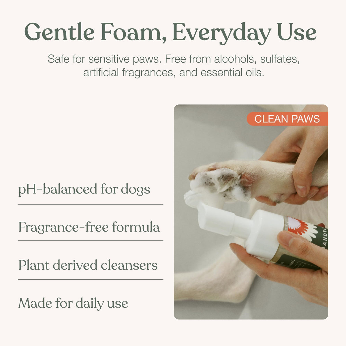 Dandylion Clean Paws No-Rinse Foaming Dog Paw Cleaner, 5 fl oz