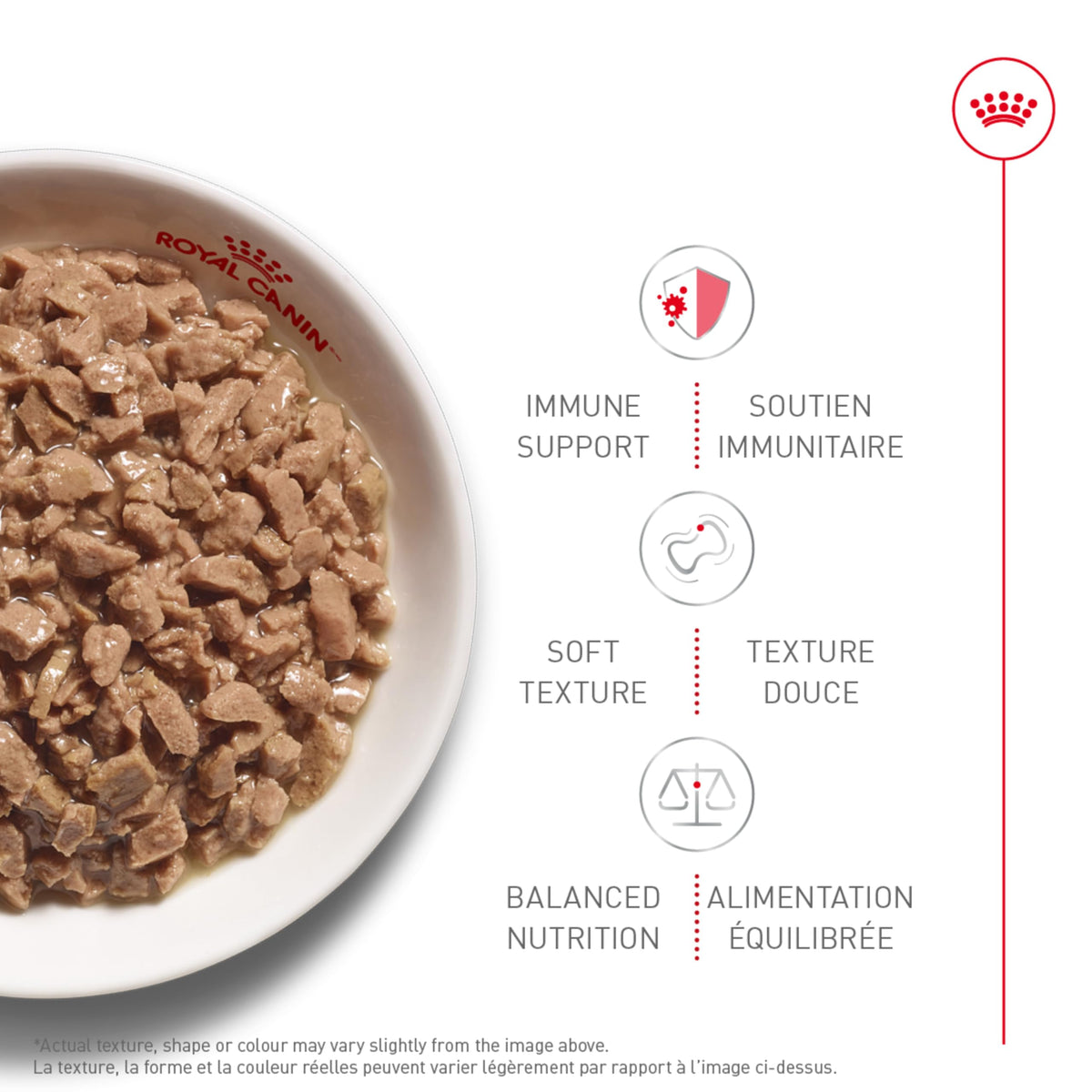 Royal Canin Kitten Thin Slices in Gravy Wet Cat Food, 3 oz (12 Pack)