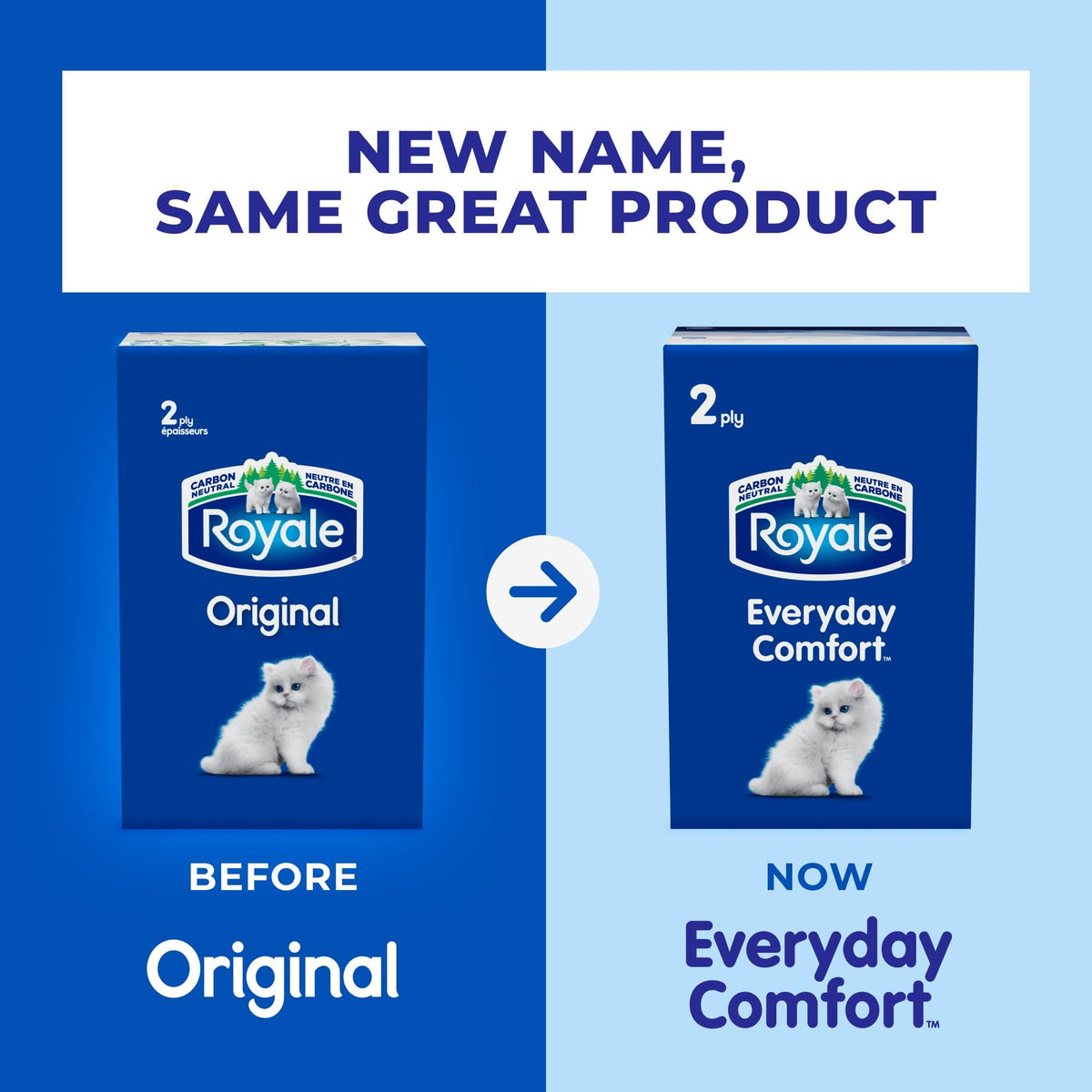 Royale Everyday Comfort 2-Ply Facial Tissue, 24 Boxes