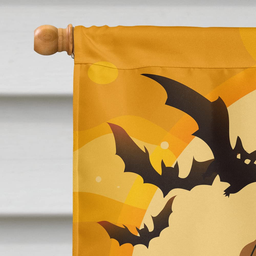 Caroline's Treasures BB4289CHF Borzoi Flag, Large
