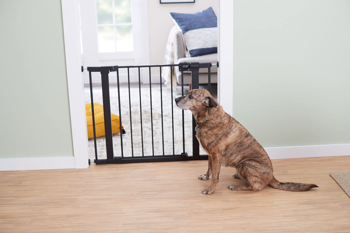 Safety 1st Easy Install Walk-Through Gate, Black