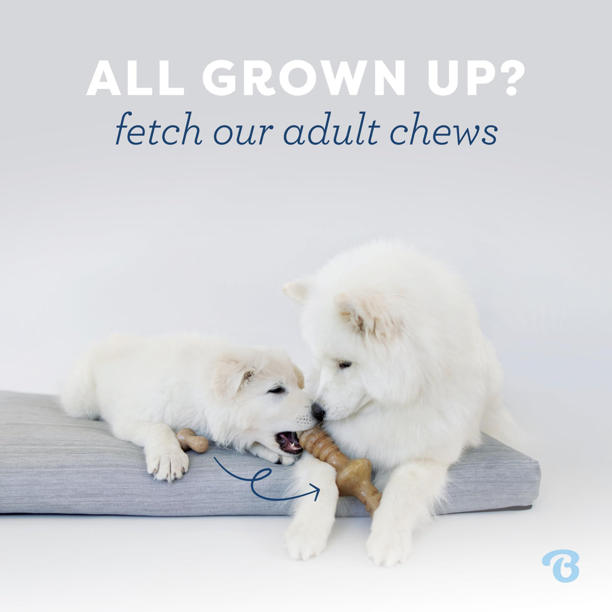 Benebone Puppy 4-Pack Dog Chew Toys, Small