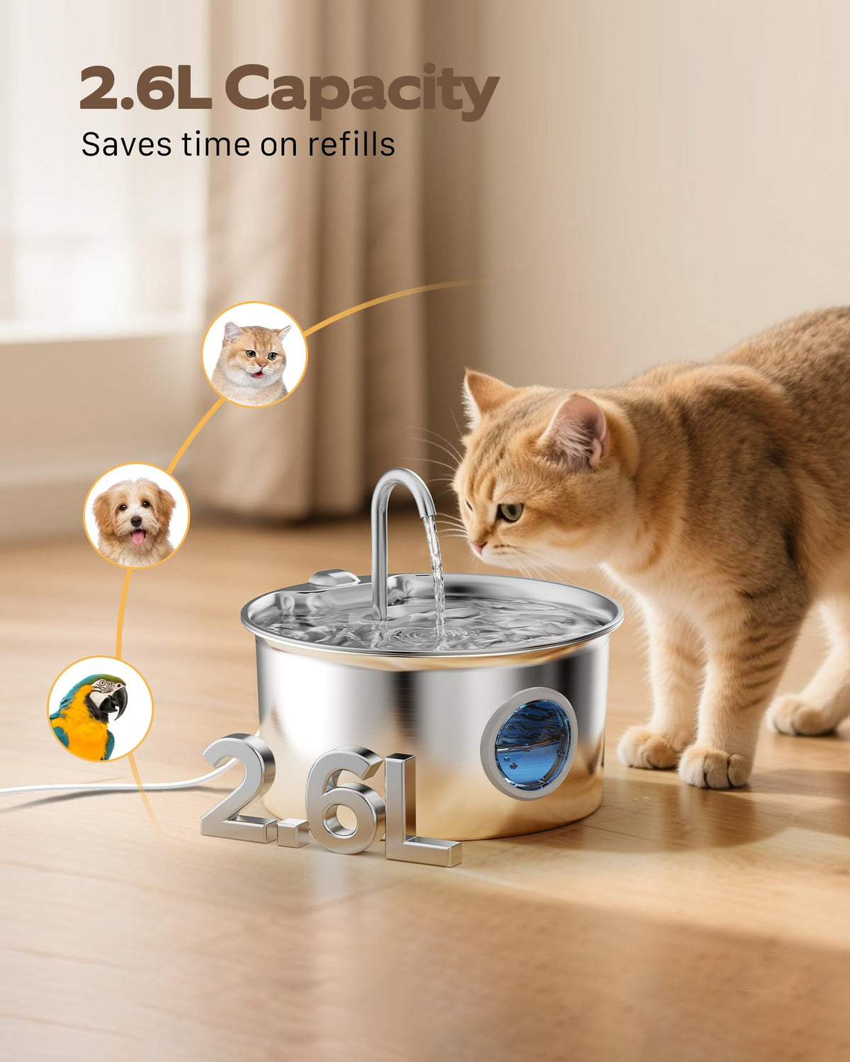 Stainless Steel Cat Water Fountain, 2.6 L