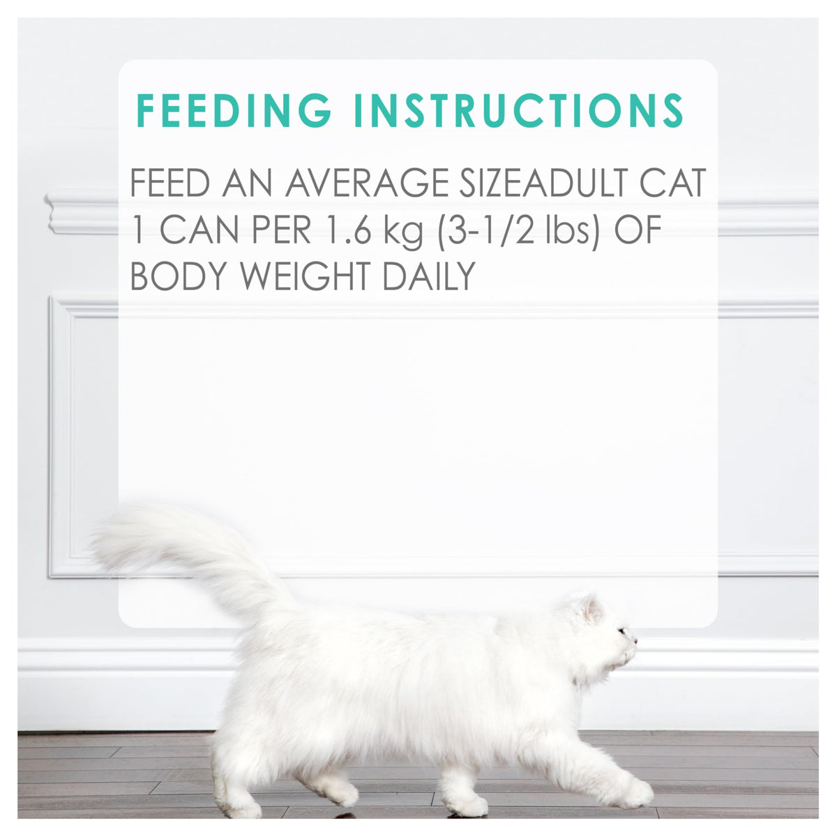 Fancy Feast Pate Wet Cat Food, Beef, 24 x 85 g