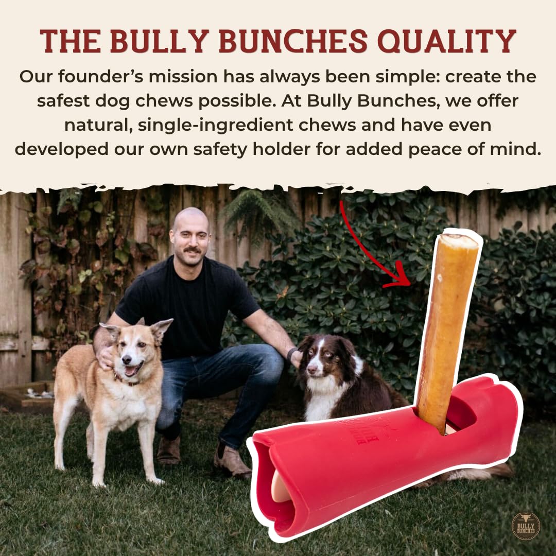Bully Bunches 6 in Standard Bully Sticks, 10-Pack